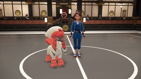 Facing the Forfrou Battle League Pokemon Legends Z-A (3)