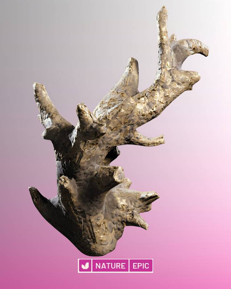 fossilized-lightning-arc-raiders-epic-item