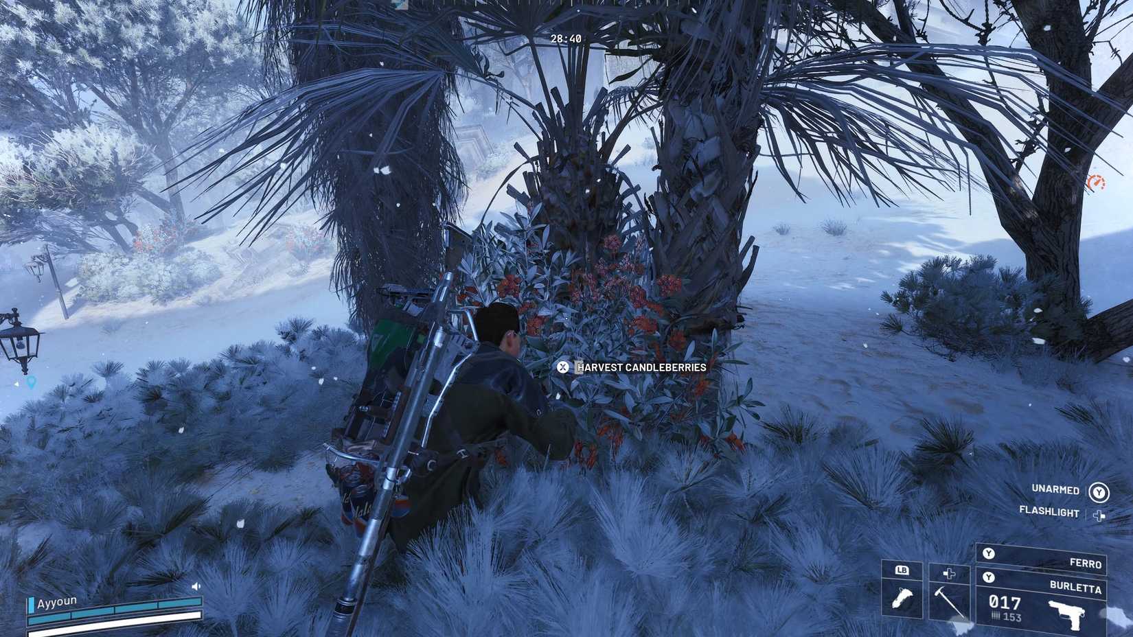 Coletando Candleberries ARC Raiders ARC Raiders: Onde encontrar Candleberries | Dropraro