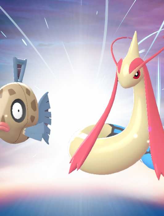Feebas Evolution Line Pokemon Fans Point Out Problem With the Benches in Legends: Z-A