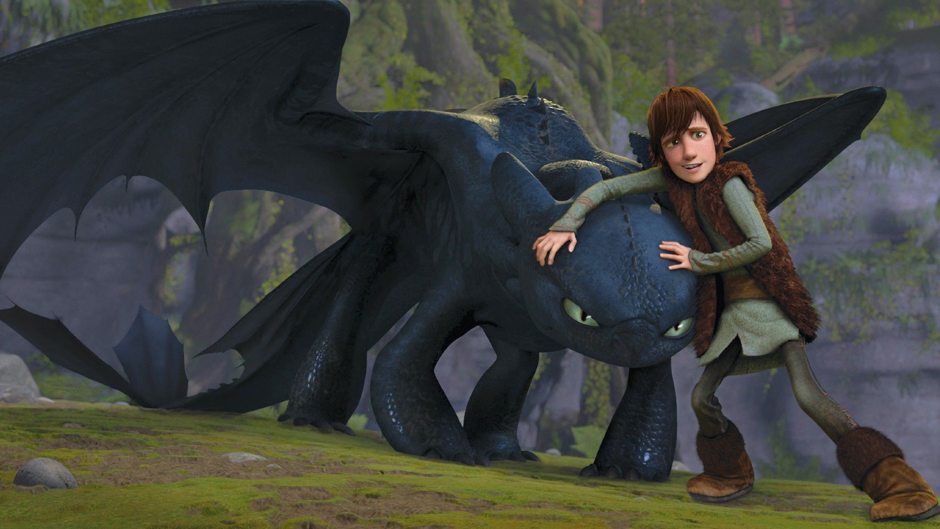 How to Train Your Dragon
