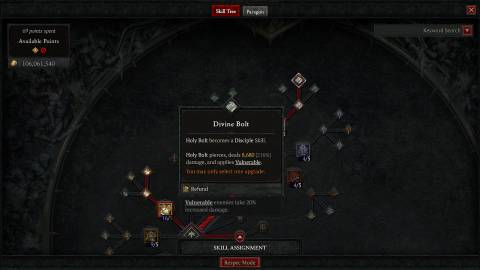 D4 Paladin Holy Bolt skill