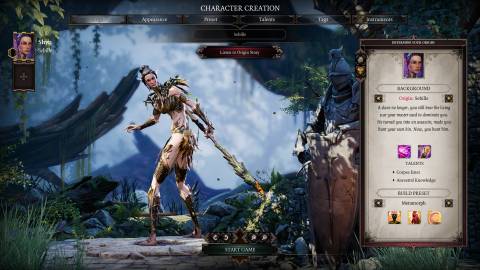 Metamorph build for sebille in divinity original sin 2 dos2