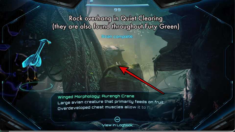 MP4-Aurengh-Crane-Scan