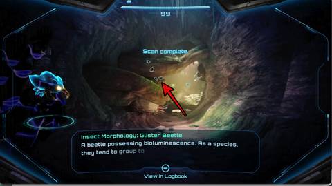 MP4-Glister-Beetle-Scan