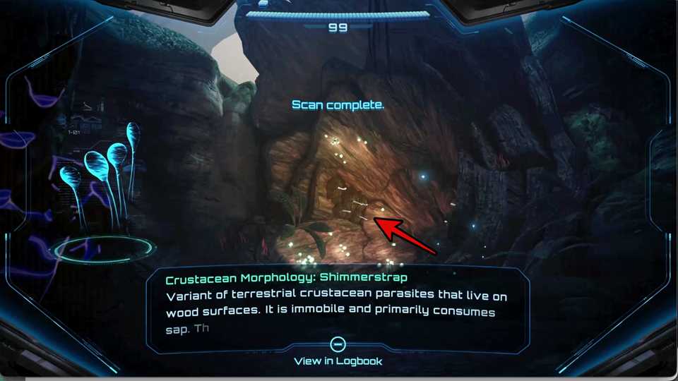 MP4-Shimmerstrap-Scan