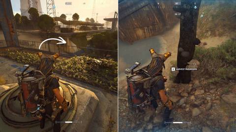 Mushrooms on Spaceport ARC Raiders