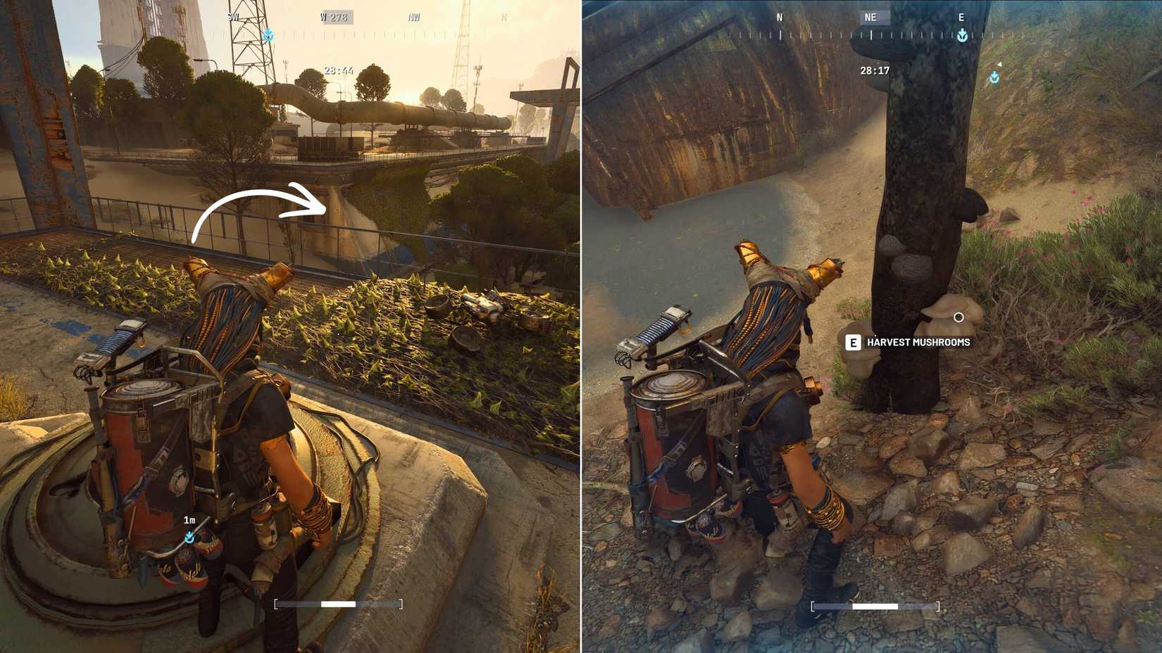 Mushrooms on Spaceport ARC Raiders