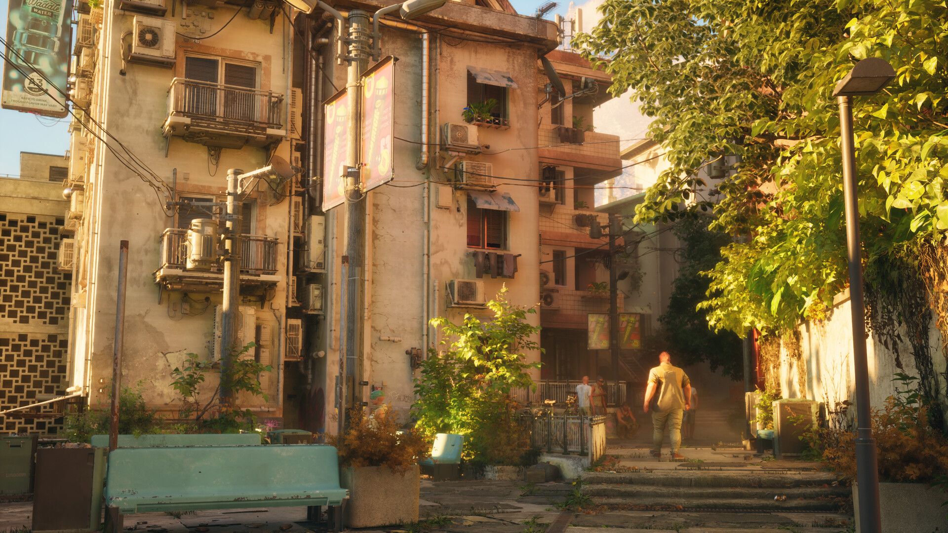 NO LAW Press Image 4