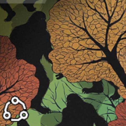 now you see me camo in Black Ops 7