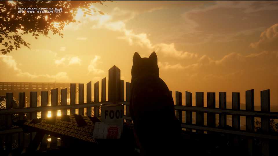 Peace Island Press Image 2