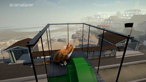 Peace Island Press Image 3