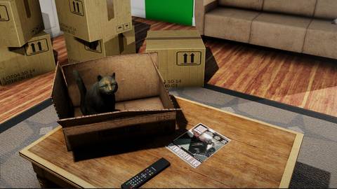 Peace Island Press Image 6