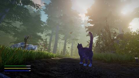 Peace Island Press Image 7