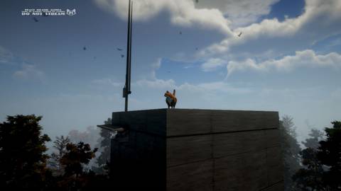 Peace Island Press Image 8