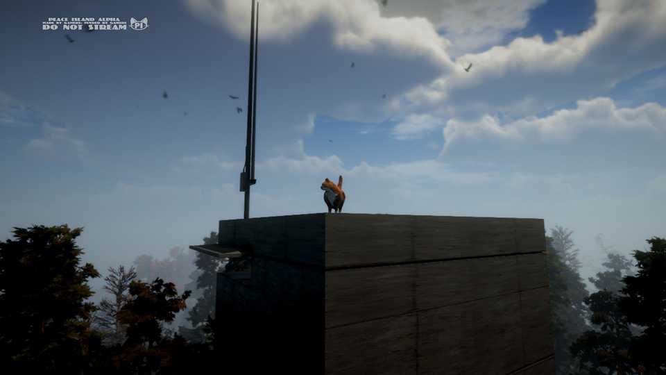 Peace Island Press Image 8