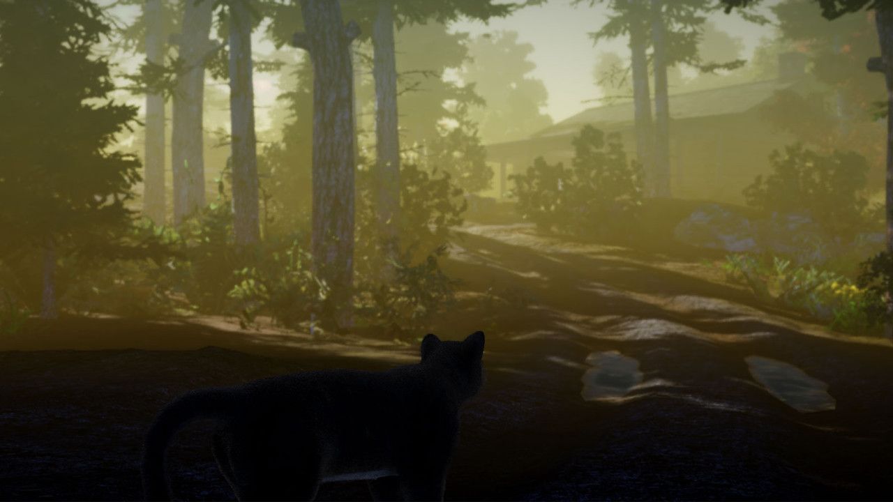 Peace Island Press Image 9