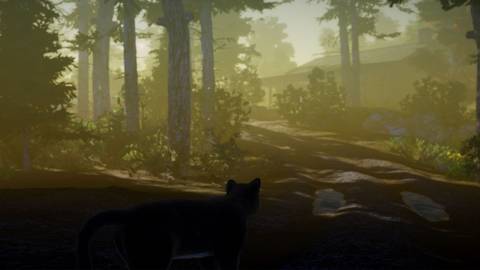 Peace Island Press Image 9