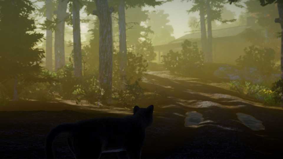 Peace Island Press Image 9