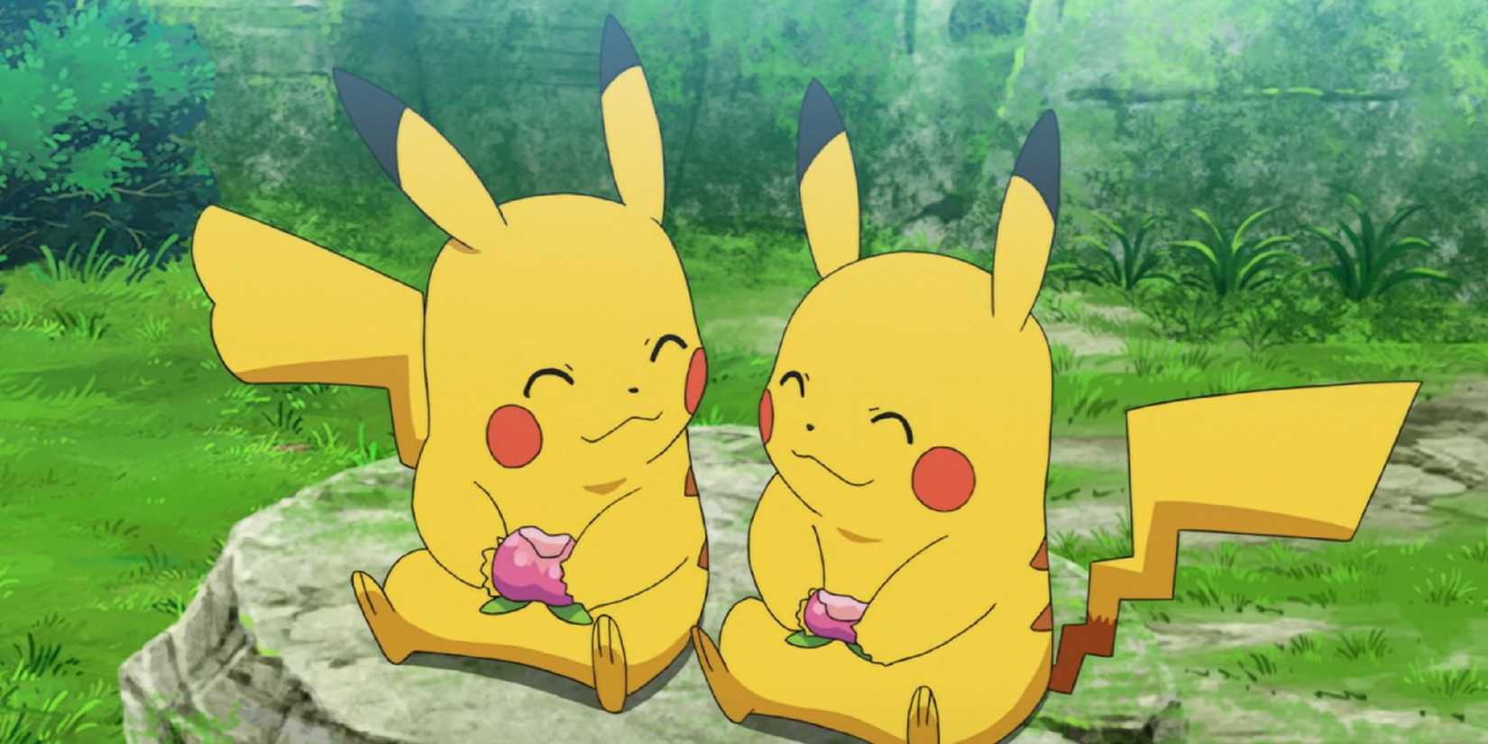 Pikachu_gender_difference_anime