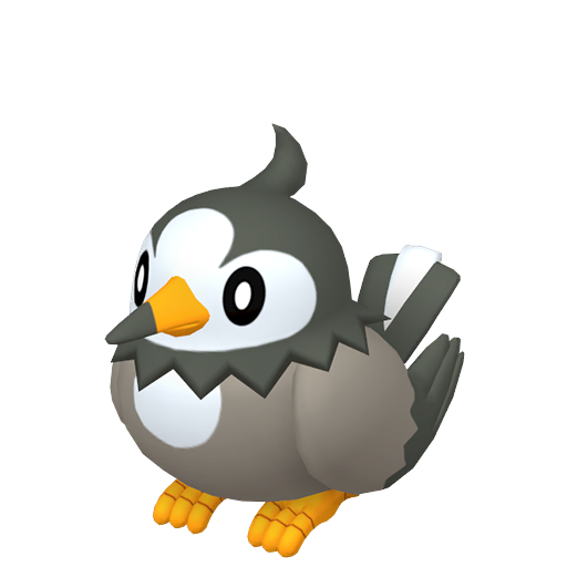 pokemon-legends-za-sprites-starly