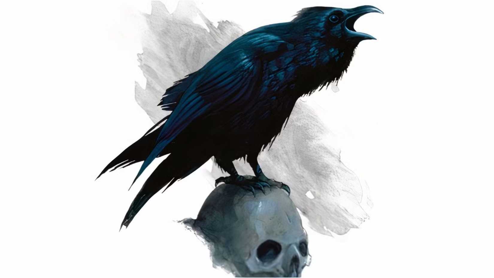 Raven Dungeons & Dragons