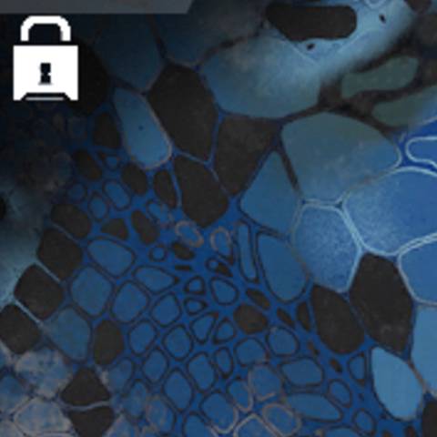 Sapphire Snake Camo in Warzone