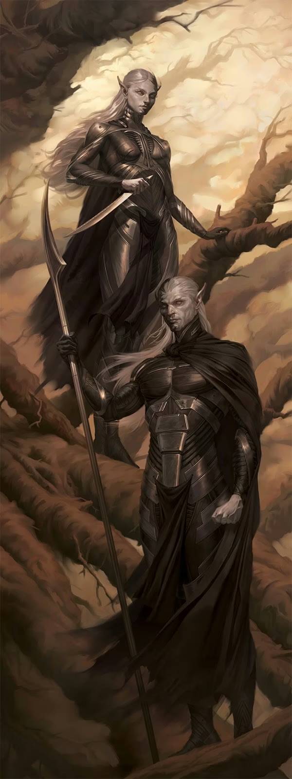 Shadow Elves - Draw Steel