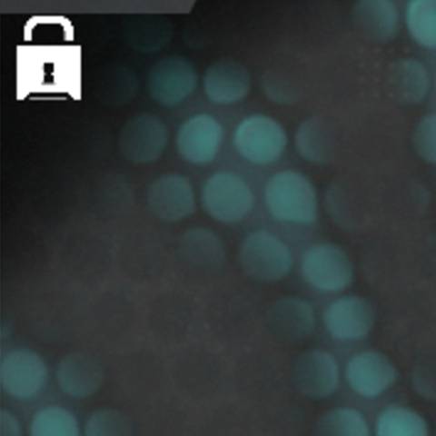 Shimmer Camo in Warzone