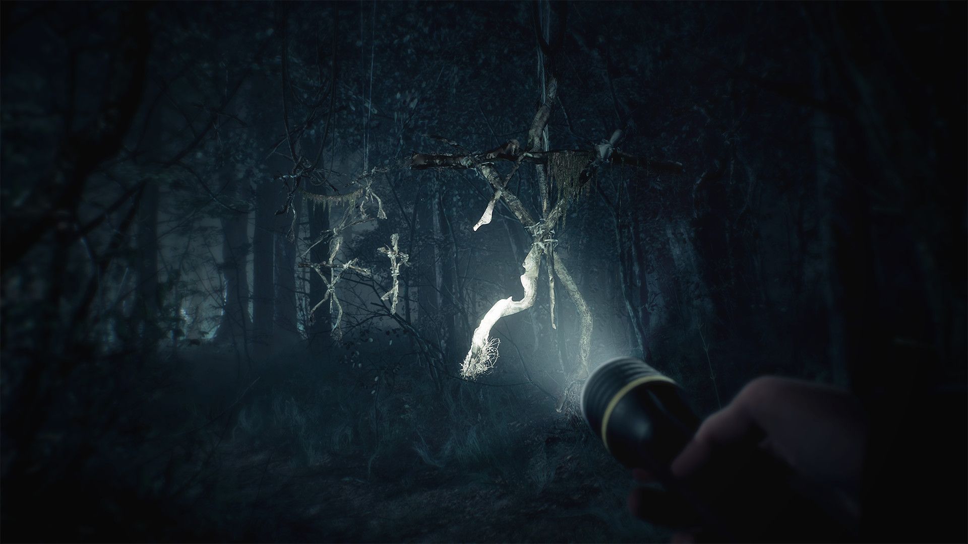 Shining a flashlight in Blair Witch (2019)