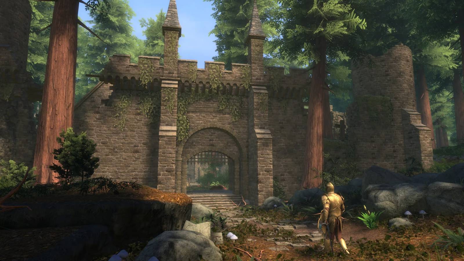 Upcoming Elder Scrolls Game Has Bad News For Expectant Fans