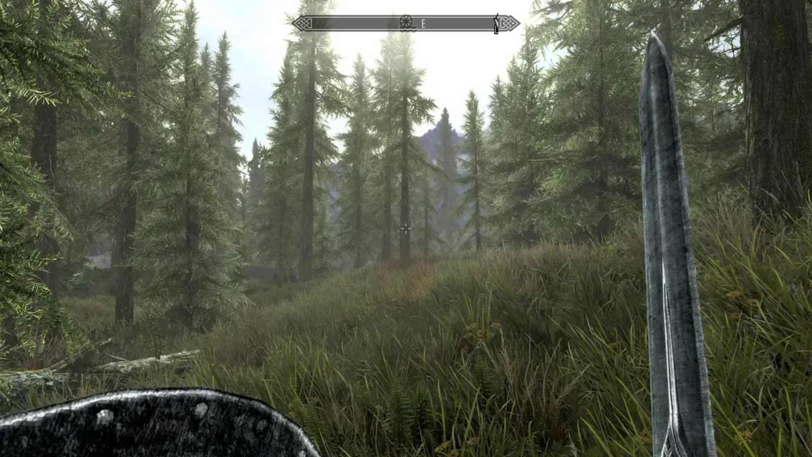 Skyrim Character Holds Sword And Shield In A Forest 
