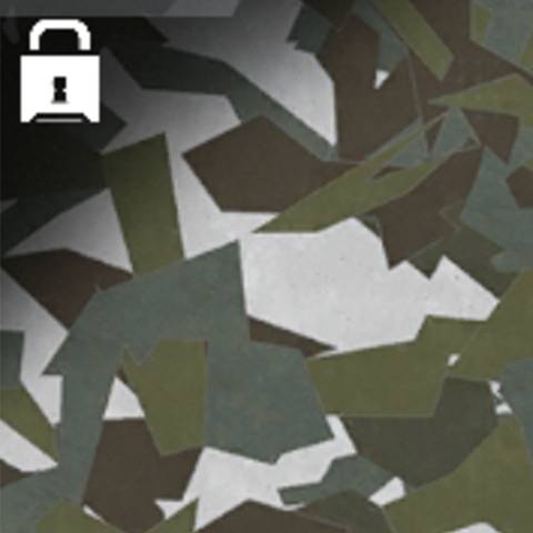 Snowcap Camo in Warzone