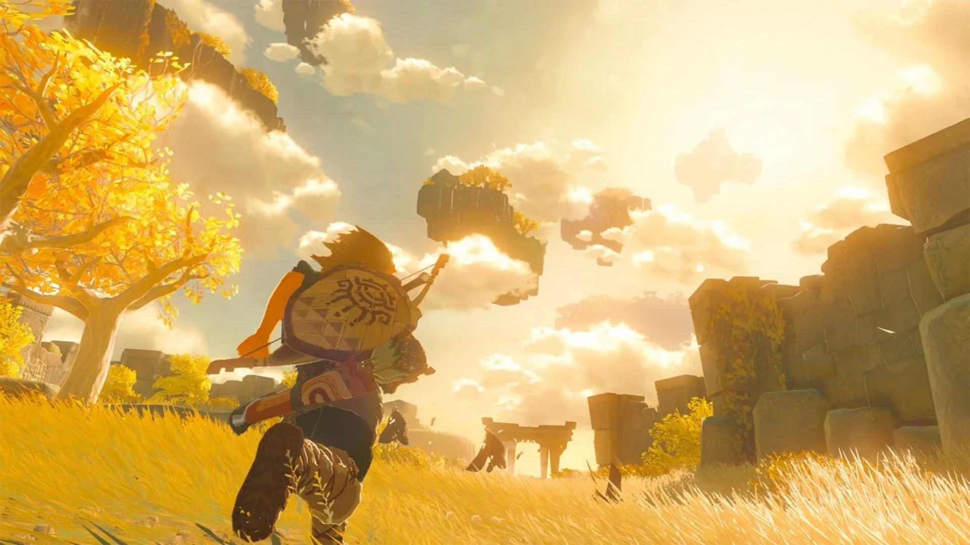 Tears Of The Kingdom Link Runs Through Field (2)