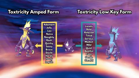 toxel evolution toxtricity low key amped pokemon legends za mega dimension