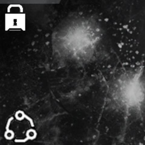 Void Fracture Camo in Black Ops 7