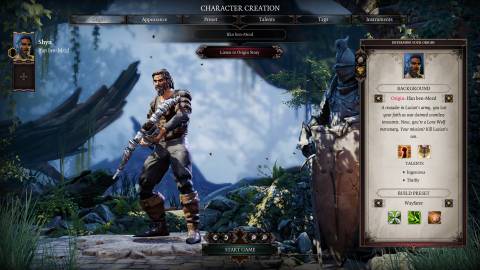 Wayfarer build for ifan in divinity original sin 2 dos2
