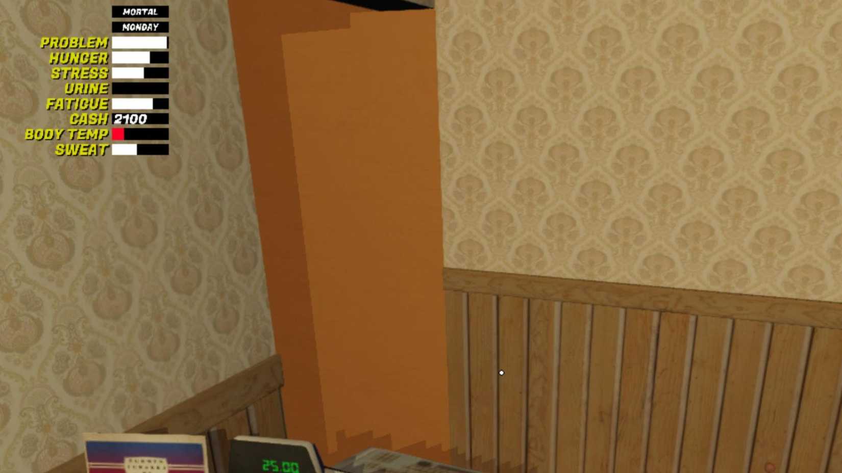 What is the problem area in my winter car