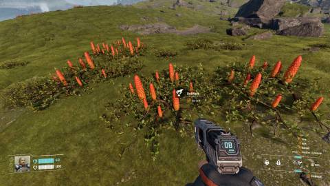 StarRupture Polifruit