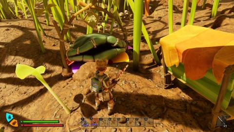 Ladybug Nest Grounded 2