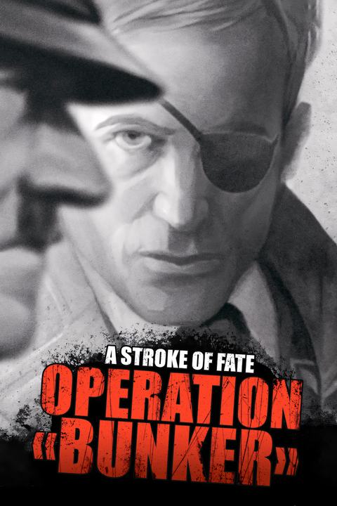 A Stroke of Fate: Operation Valkyrie Tag Pasge Cover Art