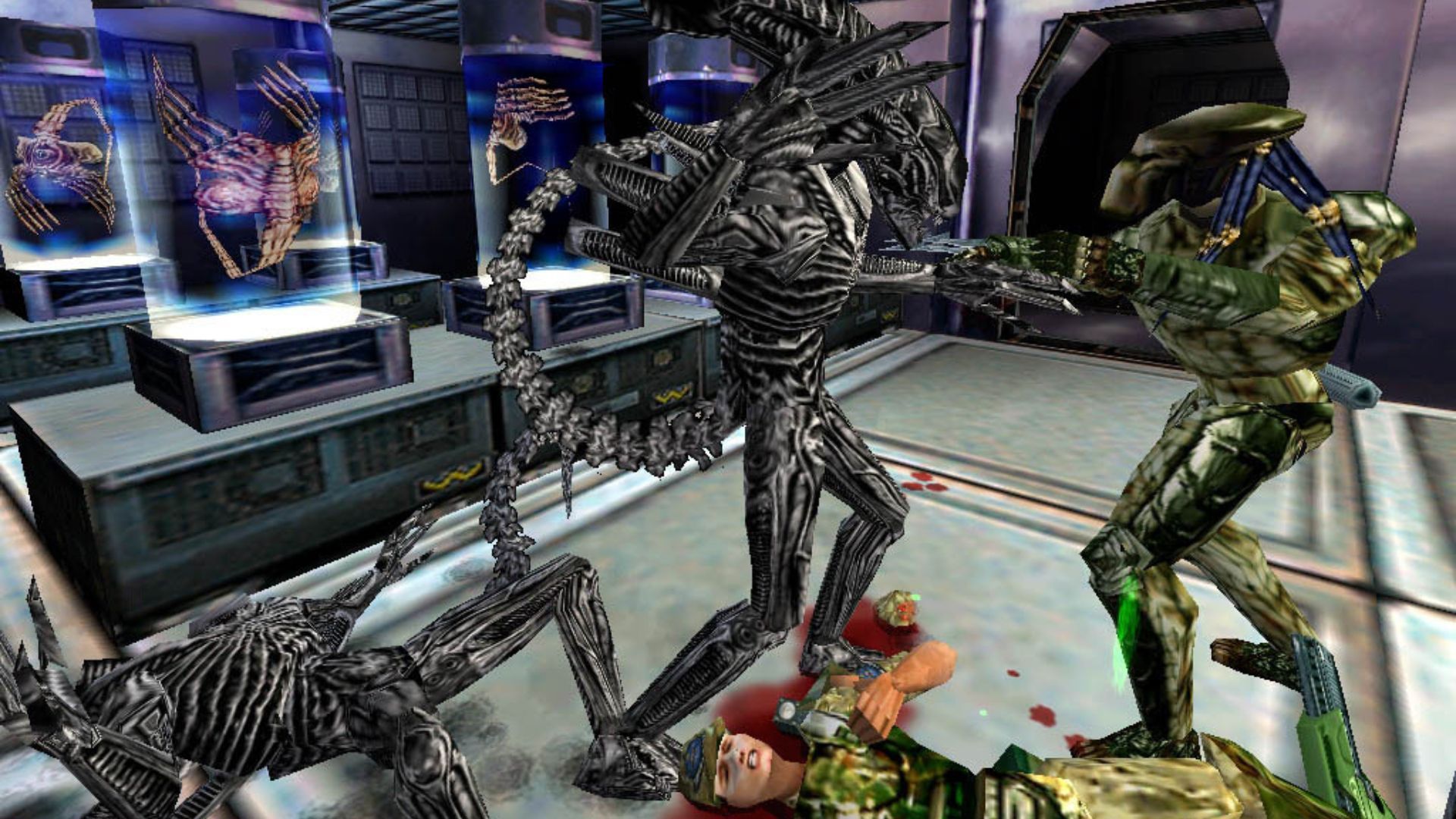 Aliens Vs. Predator - An Alien and a Predator fighting each other