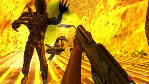 Aliens Vs. Predator - Confronting a Xenomorph