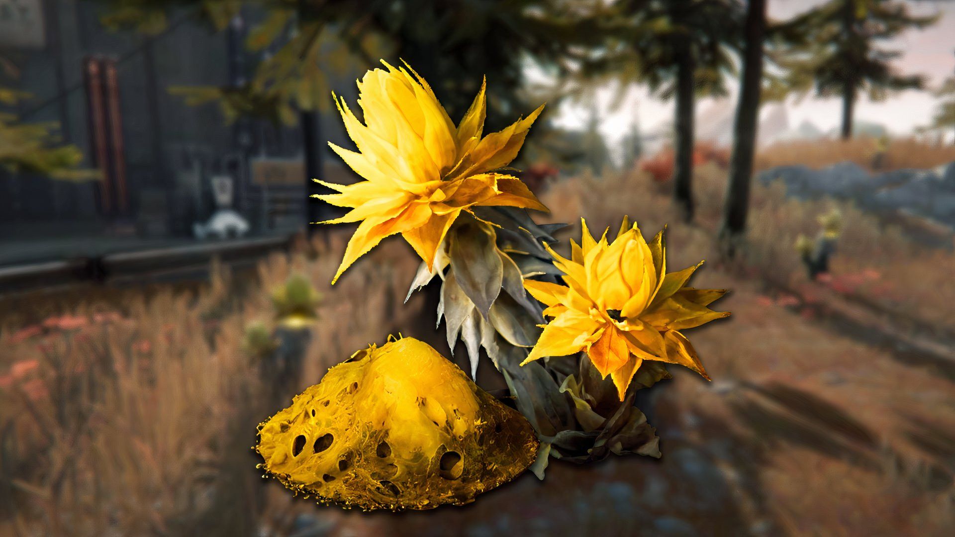 arknights-endfield-how-get-sandleaf-where-find-location-1