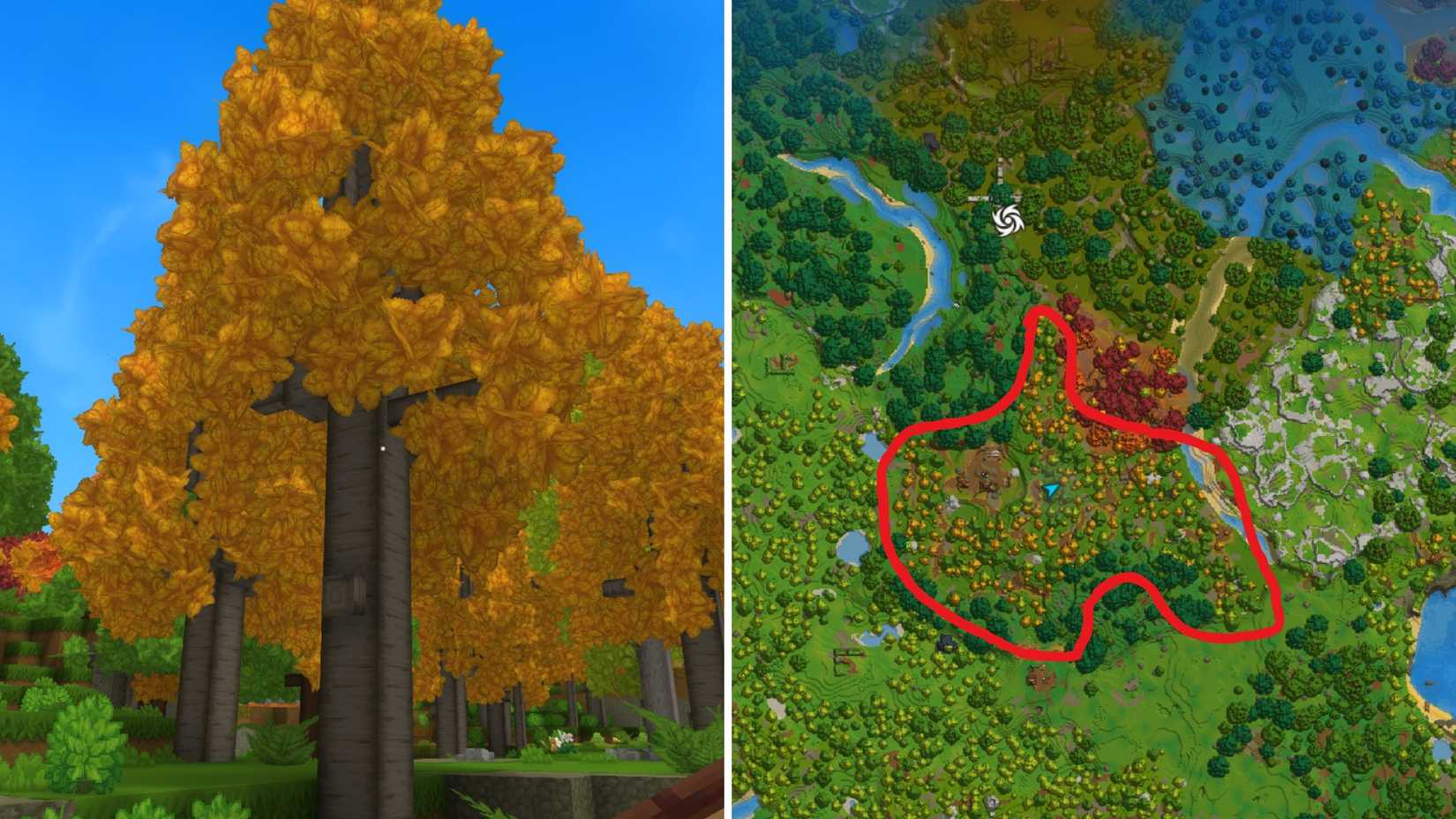 Бревно осины