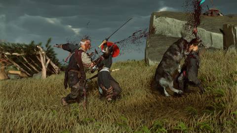 Attacking enemies with a wolf in Ghost Of Yotei (2025)