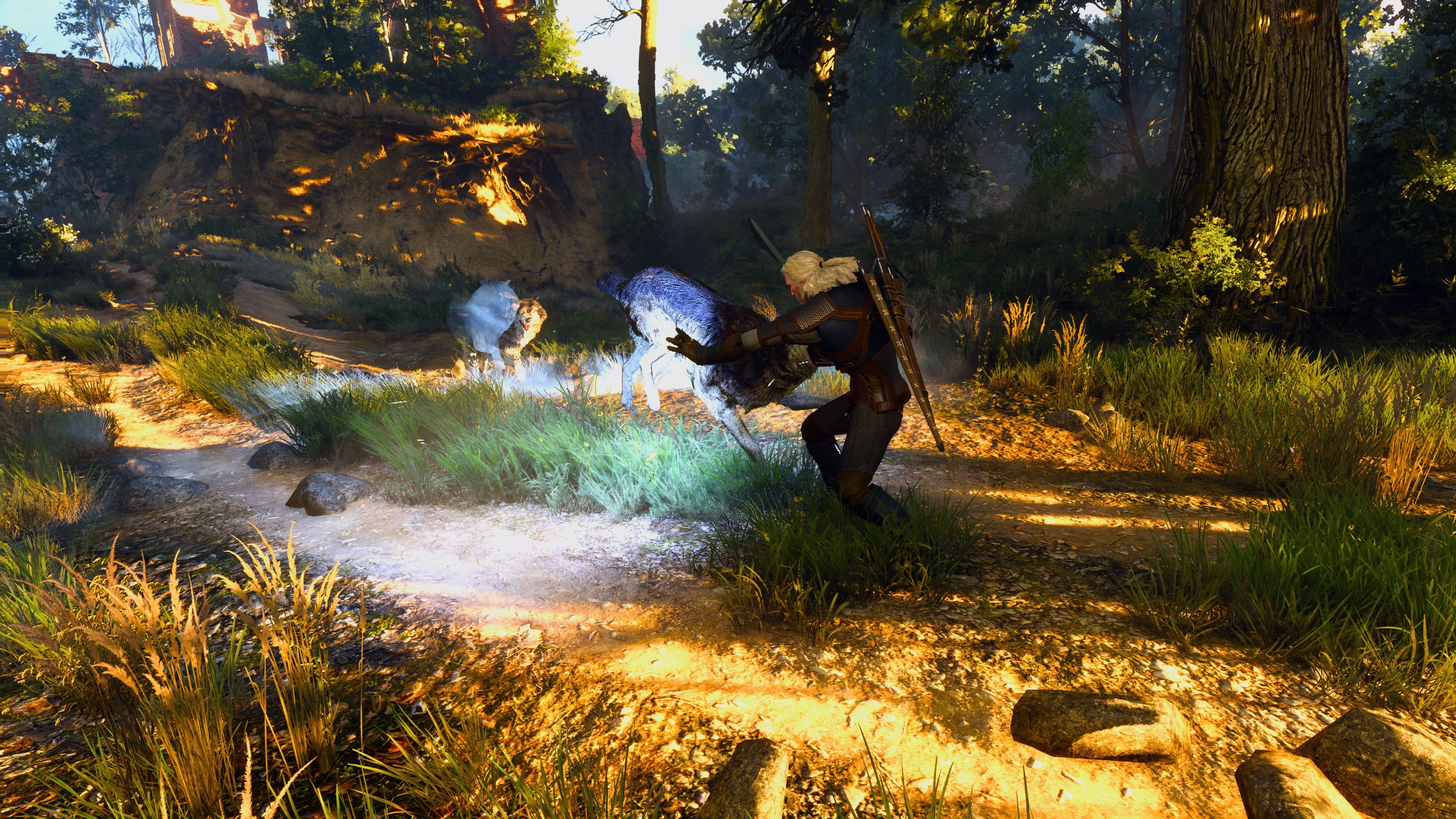 Attacking wolves in The Witcher 3 Wild Hunt (2015)