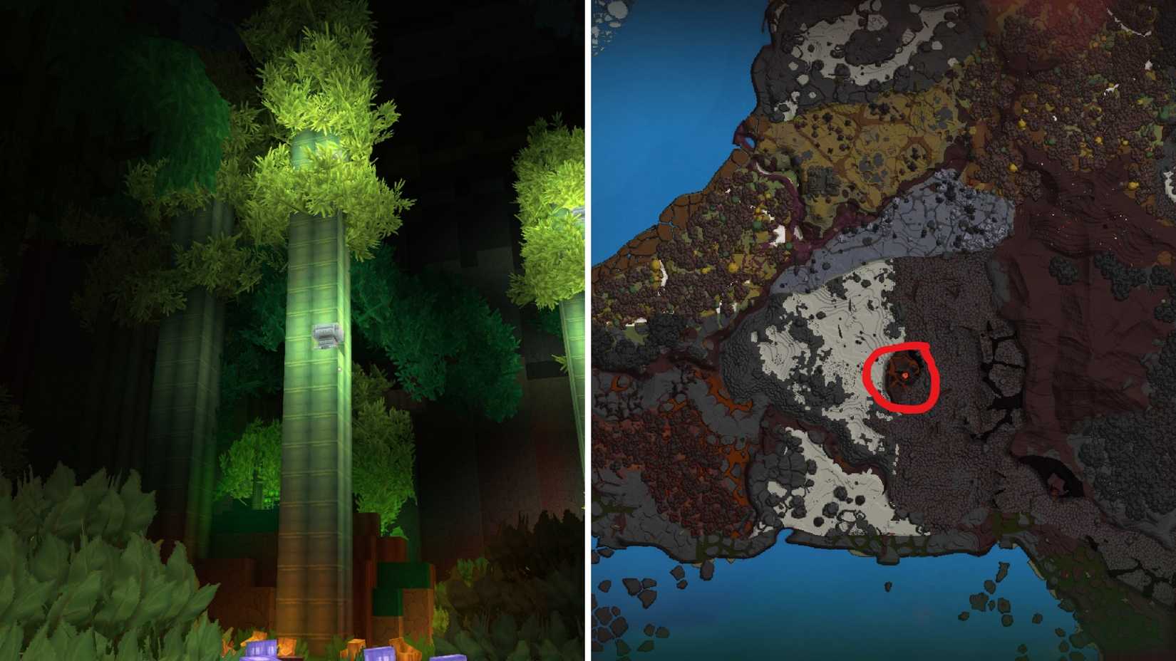 Бревно бамбука