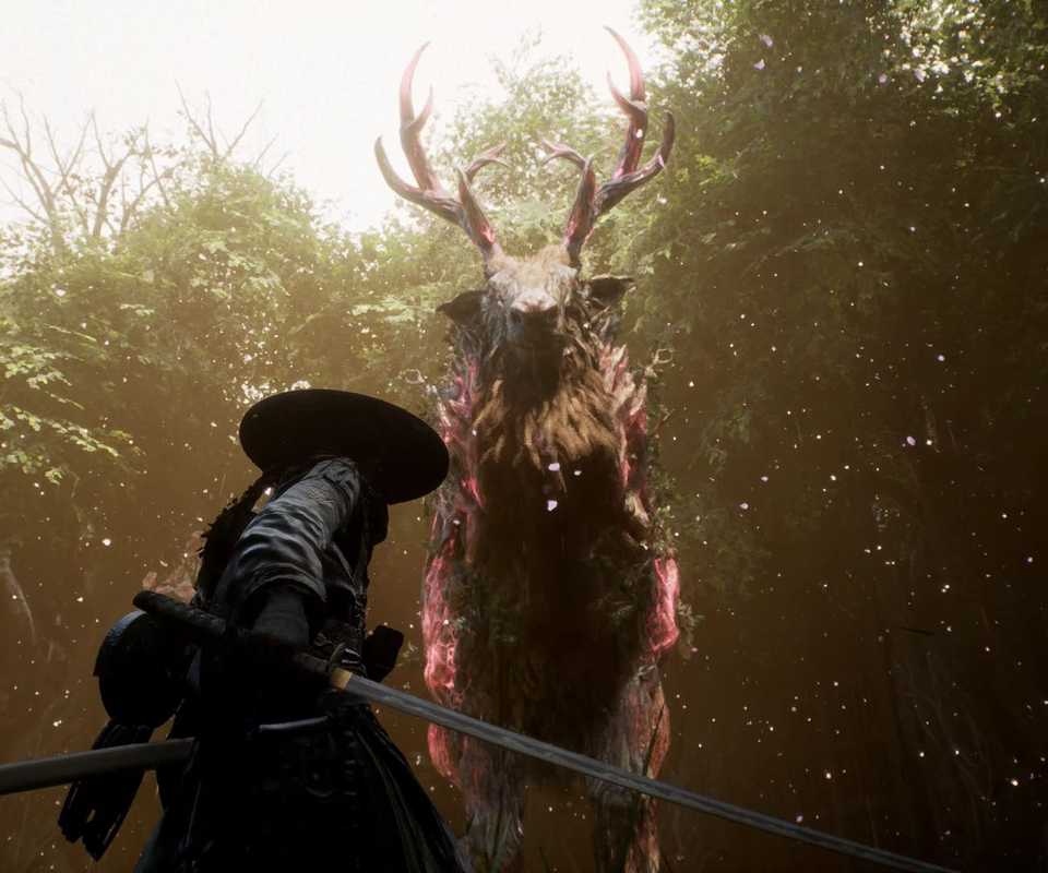 Beast of Reincarnation no Switch 2 release