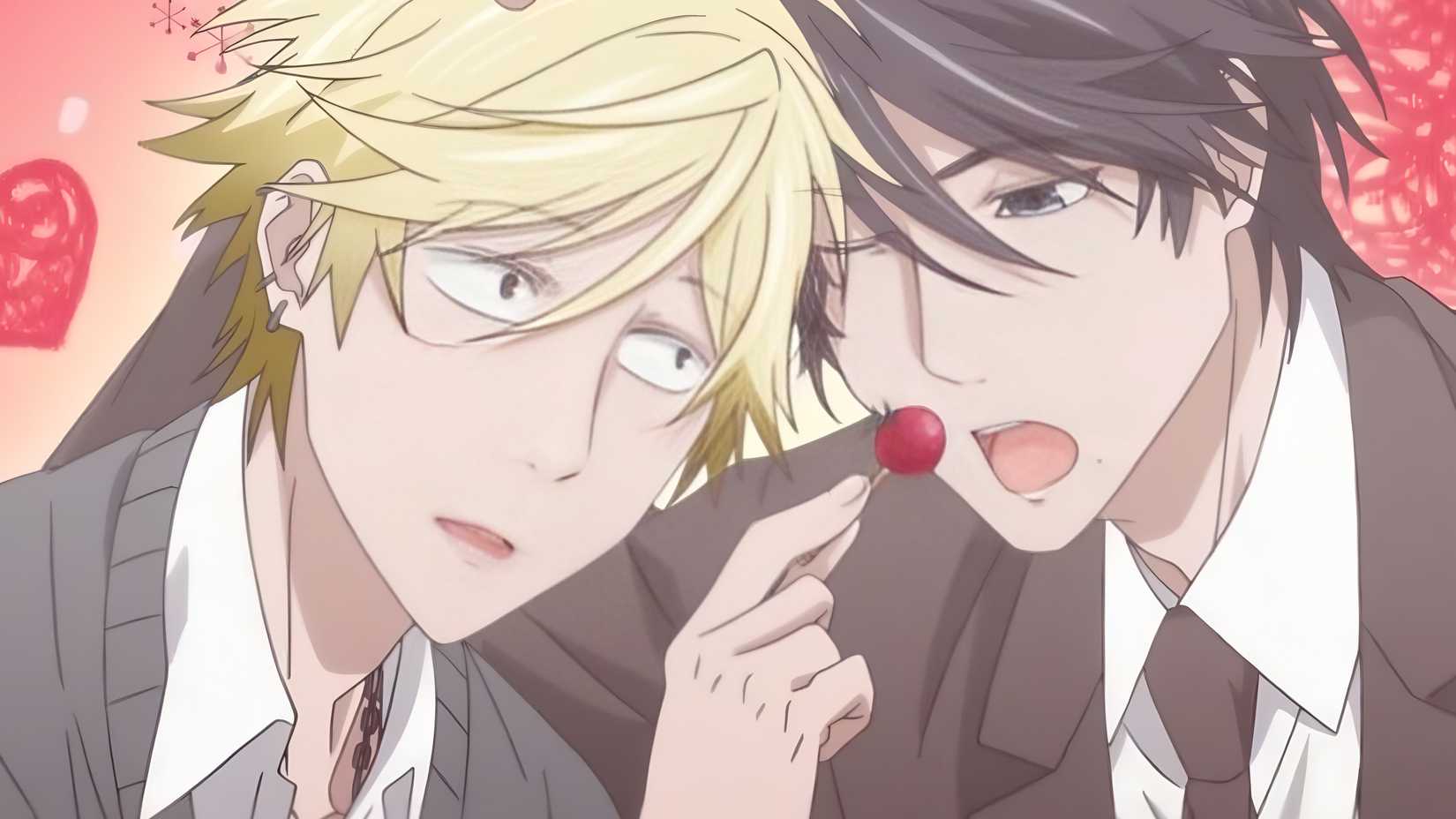 best bl anime where the main characters end up together hitorijime my hero
